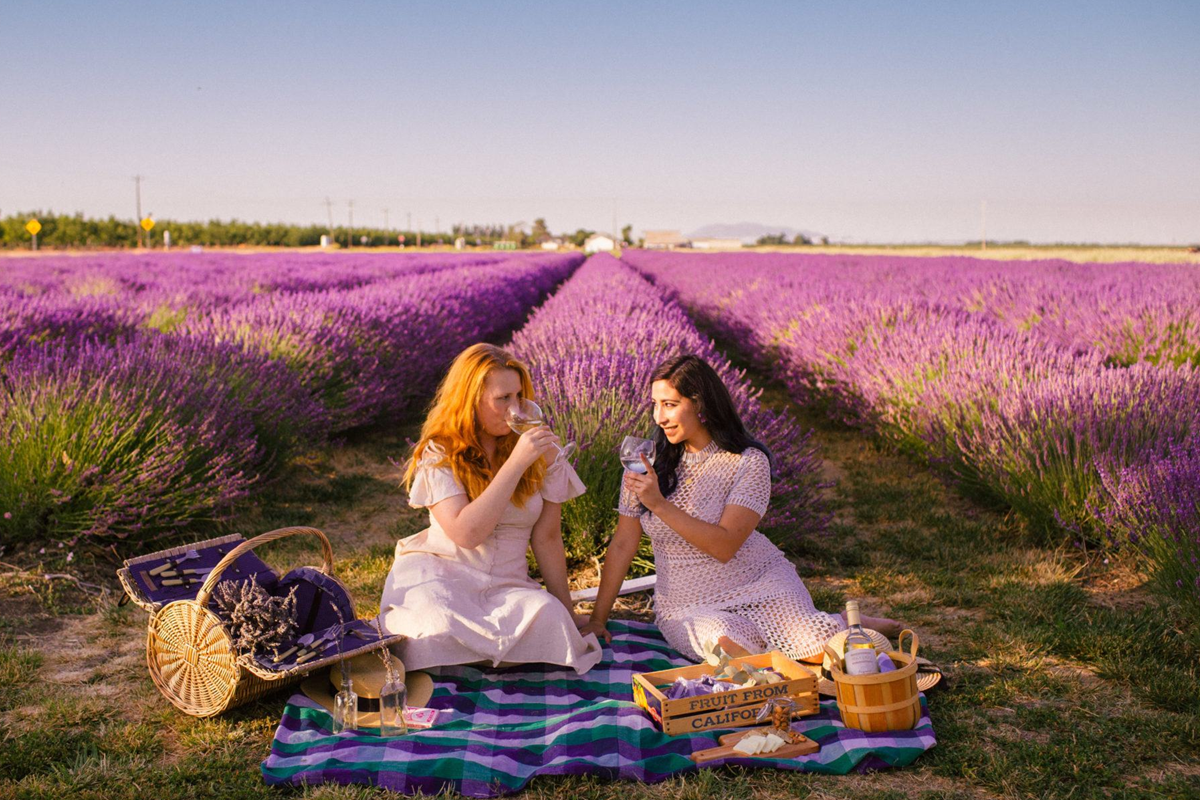Reasons Why You Should Visit New Mexico Lavender Farm-2